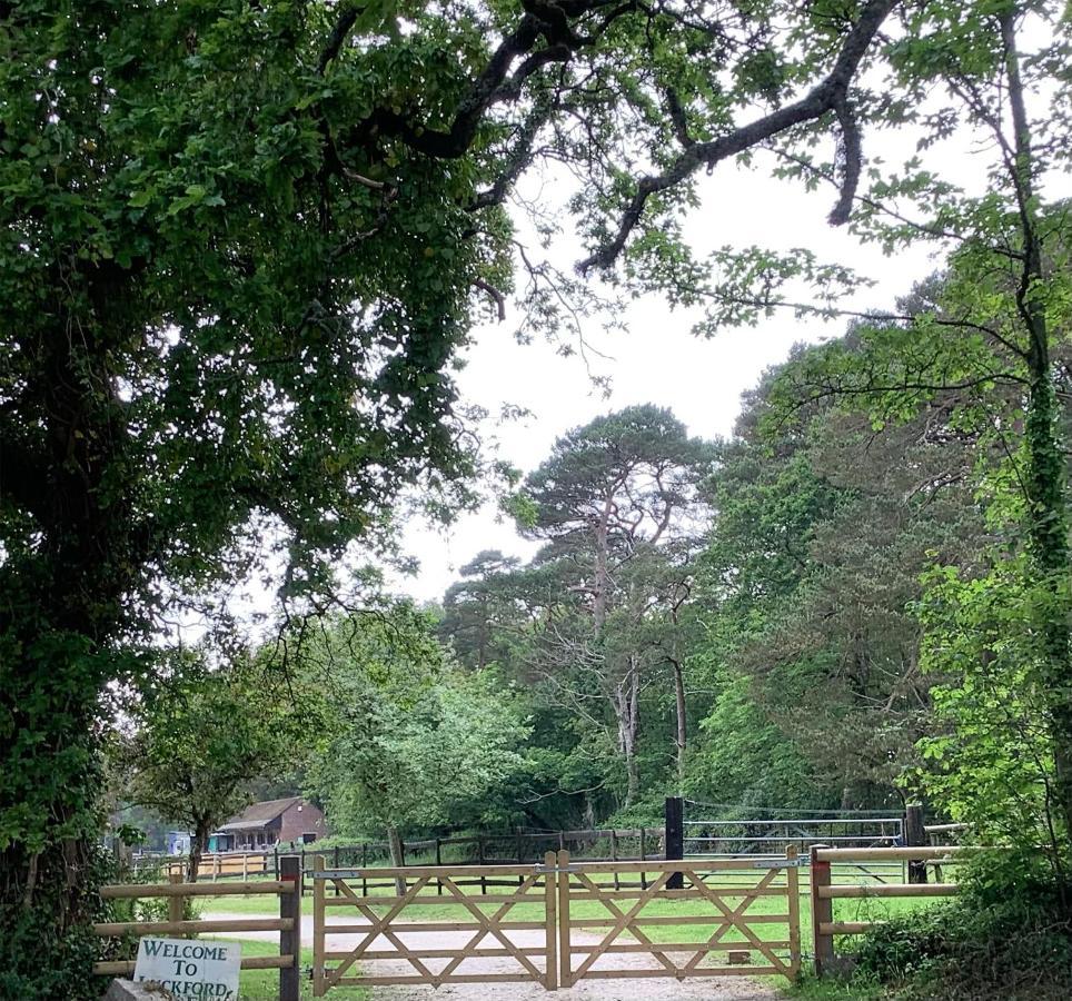 Self Catering Apartment, Jurassic Coast/dorset Apartment *