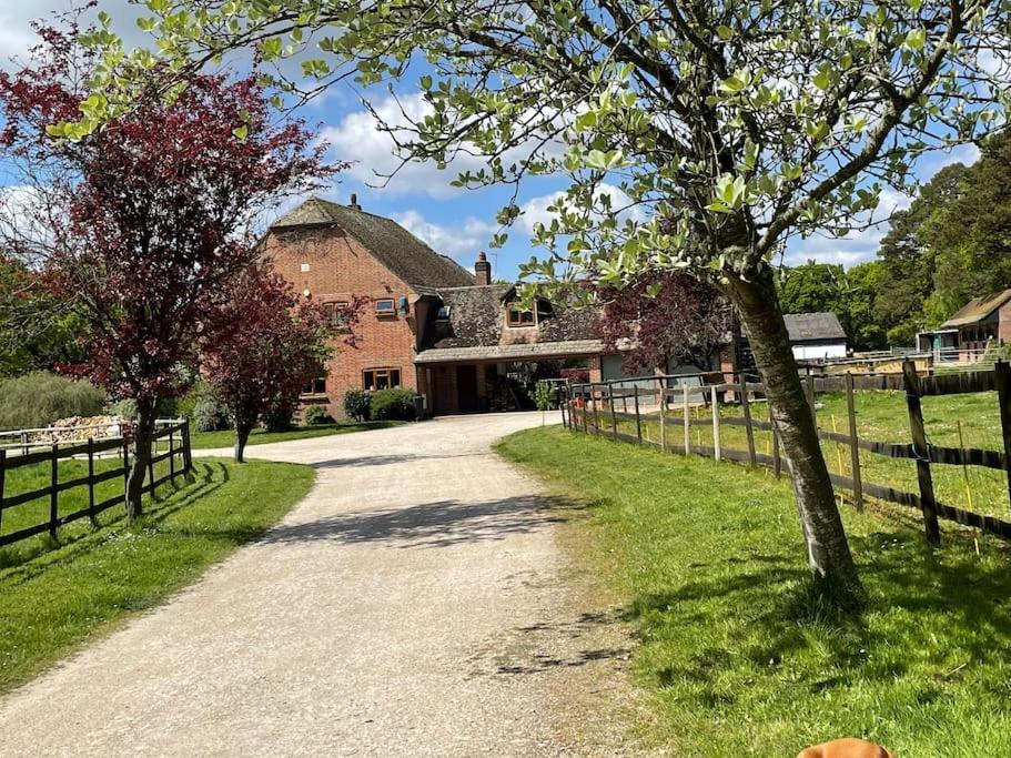 Self Catering Apartment, Jurassic Coast/dorset Wareham