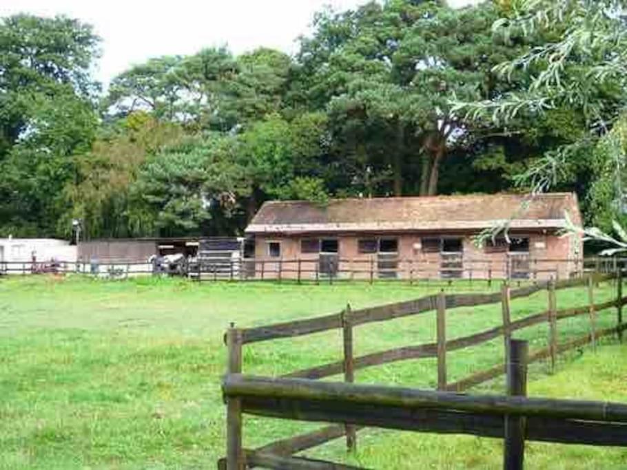 Self Catering Apartment, Jurassic Coast/dorset Apartment *
