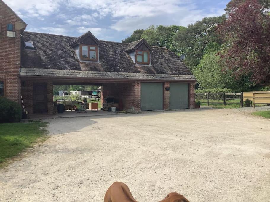 Self Catering Apartment, Jurassic Coast/dorset * Wareham